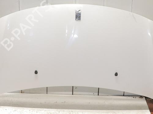 hood-citroen-ds3-sa_-2009-2010-2011-2012-2013-2014-2015-2016-31214462 main image