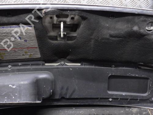 Capot Capot FIAT DUCATO Van (250_) 120 Multijet 2,3 D (120 hp) 24291364 24291364