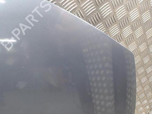 Motorhjelm Motorhjelm RENAULT CLIO III (BR0/1, CR0/1) 1.2 16V (BR02, BR0J, BR11, CR02, CR0J, CR11) (75 hp) 24290922 24290922