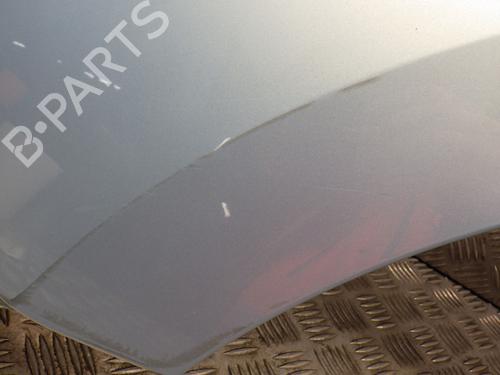 Left front fenders RENAULT KANGOO / GRAND KANGOO II (KW0/1_) 1.5 dCi 70 (KW0V, KW0A) | BP24291275C41 