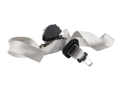 sicherheitsgurt-hinten-mitte-renault-zoe-bfm_-2012-32340126 main image