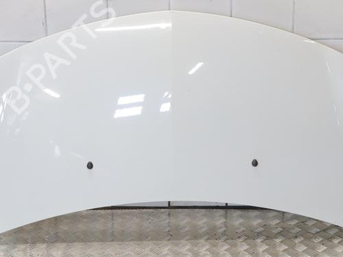 Used Hood RENAULT CLIO III (BR0/1, CR0/1) 1.5 dCi (C/BR0G, C/BR1G) (68 hp) 31355984