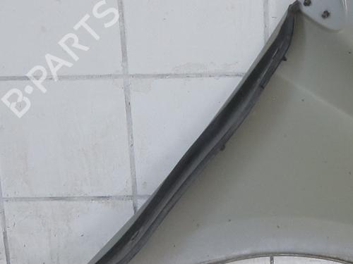 left-front-fenders-renault-megane-iii-hatchback-bz01_-b3_-2008-37633153 main image