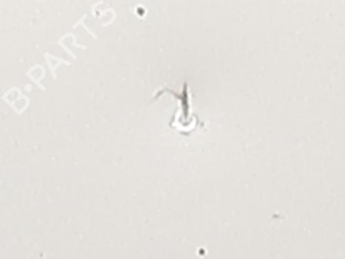 Used Hood Hood CITROËN C3 II (SC_) 1.6 HDi (92 hp) 28161188 28161188