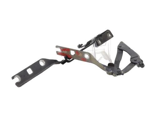 hingedoor-check-strap-vw-golf-vi-5k1-2008-2009-2010-2011-2012-2013-2014-32369320 main image