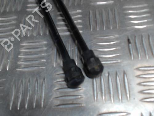 Tailgate lift support DACIA SANDERO II 1.5 dCi | BP24289931C138