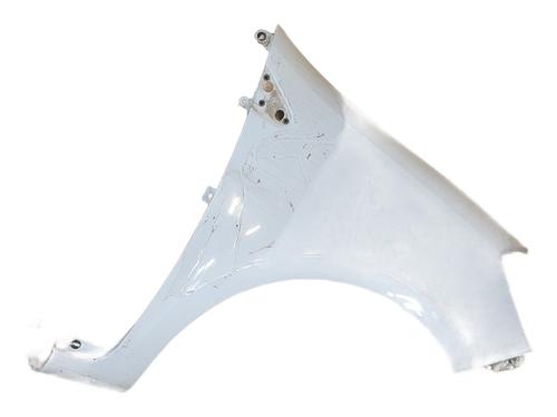 Kotflügel rechts vorne für RENAULT CLIO III (BR0/1, CR0/1) 1.2 16V (BR02, BR0J, BR11, CR02, CR0J, CR11) (75 hp) 30864968