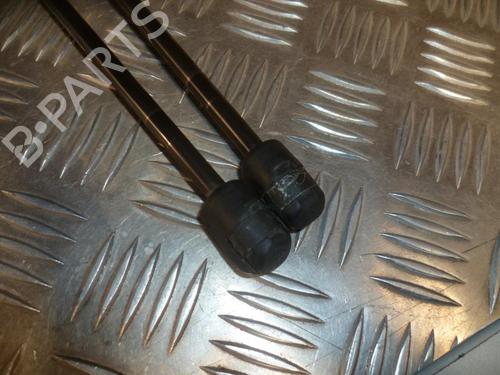 Tailgate lift support RENAULT MEGANE III Coupe (DZ0/1_) 1.9 dCi (DZ0N, DZ0J, DZ1J, DZ1K) | BP24289161C138