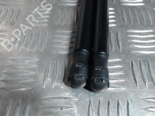 Tailgate lift support FORD FIESTA V (JH_, JD_) 1.4 TDCi | BP24290077C138 