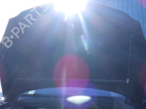 Used Hood Hood OPEL INSIGNIA A Sports Tourer (G09) 2.0 CDTI (35) (160 hp) 33724022 33724022