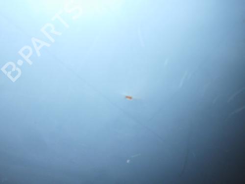 Hood RENAULT SUPER 5 (B/C40_) 1.1 | BP25474630C1 