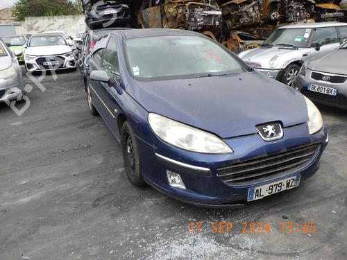 Hood PEUGEOT 407 (6D_) 2.0 HDi 135 (6DRHRH, 6DRHRE, 6DRHRG, 6DRHRJ) | BP24285736C1