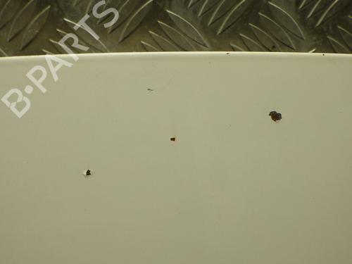 hood-citroen-c3-ii-sc_-2009-29142180 main image