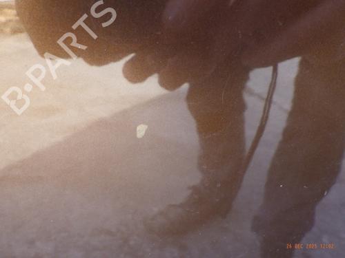 Left front door DACIA SANDERO 1.5 dCi | BP31160118C2 