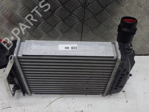 Intercooler RENAULT CLIO V (B7_) 1.0 LPG (B7MT) | BP38562595M30 - Image 3