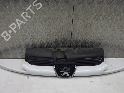 Used Grille PEUGEOT 206 SW (2E/K) 1.4 (75 hp) 30124288