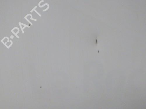 Right tailgate RENAULT KANGOO / GRAND KANGOO II (KW0/1_) 1.5 dCi 90 (KW05, KW08, KW0G, KW11) | BP28212598C77