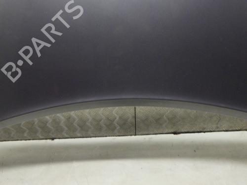 Hood RENAULT SCÉNIC II (JM0/1_) 1.6 (JM0C, JM0J, JM1B) | BP31857431C1 