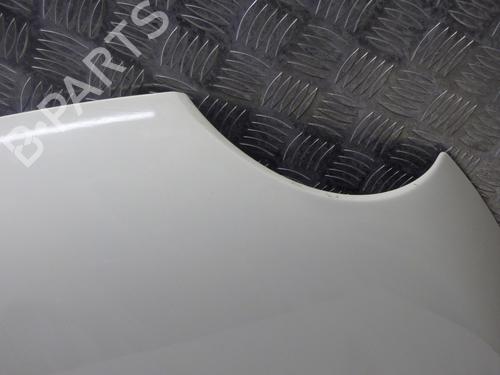 Hood FIAT 500 (312_) 1.3 D Multijet (312AXB1A) | BP29756602C1 