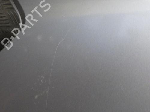 Left front fenders RENAULT CLIO III (BR0/1, CR0/1) 1.5 dCi (C/BR0G, C/BR1G) | BP24286417C41 