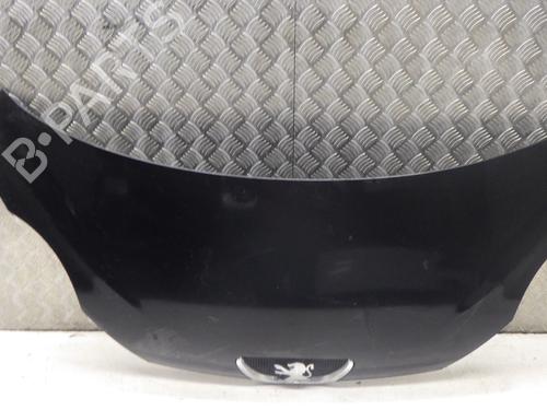 Used Hood Hood PEUGEOT 107 (PM_, PN_) 1.4 HDi (54 hp) 40280958 40280958