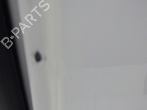 Right tailgate RENAULT KANGOO Express (FW0/1_) 1.5 dCi 90 (FW0G, FW05, FW08, FW11) | BP29895601C77