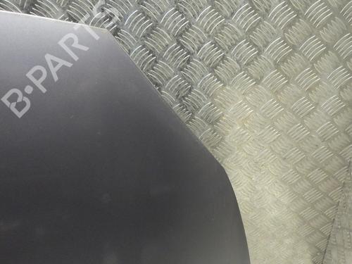 Hood RENAULT SCÉNIC II (JM0/1_) 1.6 (JM0C, JM0J, JM1B) | BP31857431C1 