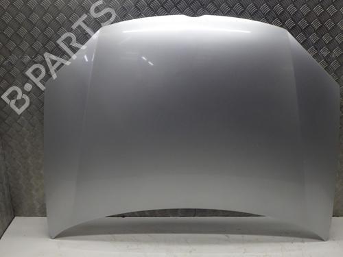 Hood VW GOLF V (1K1) 1.9 TDI | BP29571075C1 