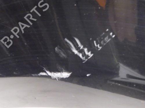 Right front fenders RENAULT CLIO III (BR0/1, CR0/1) 1.5 dCi (C/BR0G, C/BR1G) | BP29304538C42 