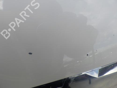 Used Hood Hood VW TRANSPORTER T6 Van (SGA, SGH, SHA, SHH) 2.0 TDI (150 hp) 33827411 33827411