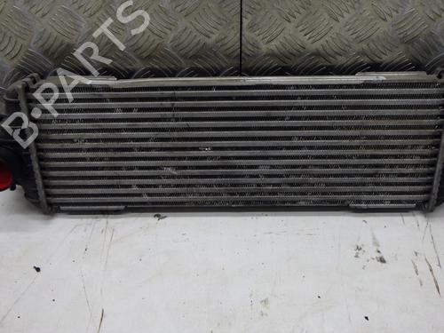 Used Water radiator RENAULT TRAFIC II Bus (JL) 2.0 dCi 90 (JL00, JL01, JL0H, JL0M, JL0P, JL0S) (90 hp) 30595569