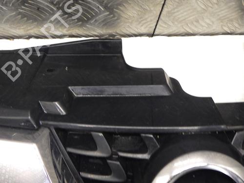 Grille NISSAN JUKE (F15) 1.2 DIG-T | BP30129035C40