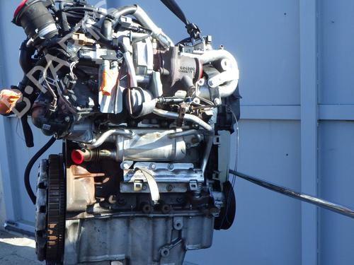Used Engine Engine 38721538 38721538