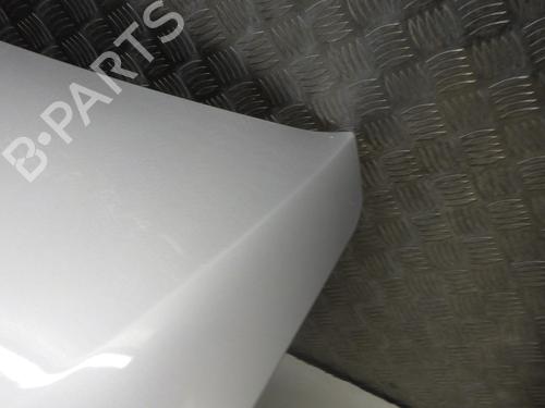 Used Tailgate Tailgate RENAULT LATITUDE (L70_) 2.0 dCi 150 (L70H) (150 hp) 31652544 31652544