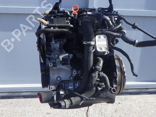 Engine AUDI A3 (8P1) 1.6 TDI | BP39436307M1 - Image 5