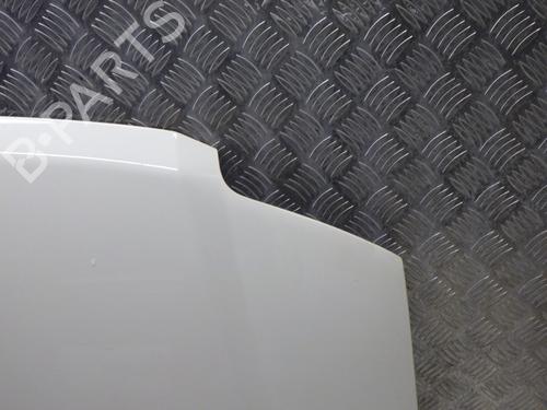 Motorhjelm FIAT PANDA (169_) 1.2 LPG (169CXF1A) | BP31019956C1 