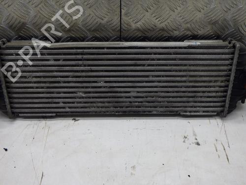 Water radiator RENAULT TRAFIC II Bus (JL) 2.0 dCi 90 (JL00, JL01, JL0H, JL0M, JL0P, JL0S) | BP30595569M31