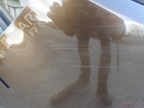 Front bumper DACIA SANDERO 1.5 dCi | BP31160116C7  - Image 7