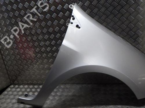 Right front fenders RENAULT CLIO III (BR0/1, CR0/1) 1.5 dCi (C/BR0G, C/BR1G) | BP24286416C42 