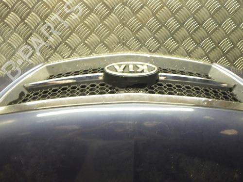 Capot Capot KIA SORENTO I (JC) 2.5 CRDi 4WD (140 hp) 36096656 36096656