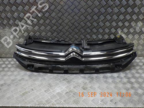 Used Grille CITROËN C3 III (SX) 1.2 VTi 82 (82 hp) 24287175