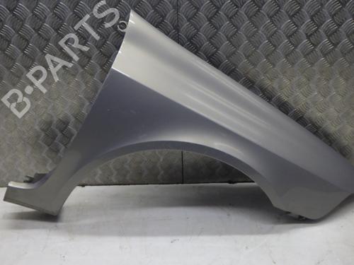 Guarda-lamas direito RENAULT LAGUNA II (BG0/1_) 1.9 dCi (BG1A, BG1W, BG0G) (110 hp) 31978851