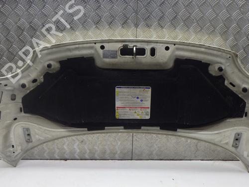 Hood FIAT 500 (312_) 1.3 D Multijet (312AXB1A) | BP29756602C1 