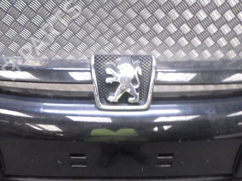 Front bumper PEUGEOT 307 (3A/C) 2.0 HDi 110 | BP26891995C7 