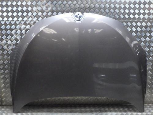 Used Hood RENAULT MEGANE III Grandtour (KZ0/1) 1.6 dCi (KZ00, KZ12, KZ13) (130 hp) 24856854