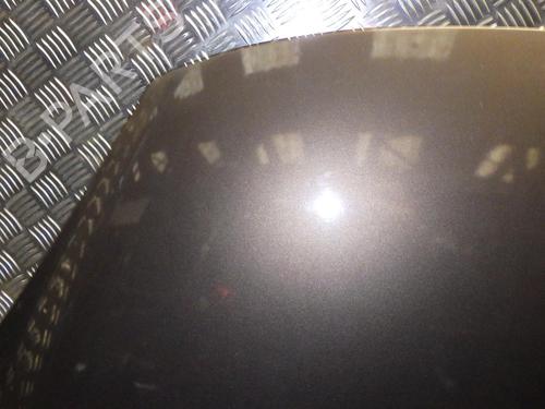 Capot Capot RENAULT GRAND SCÉNIC III (JZ0/1_) 1.9 dCi (JZ0J, JZ0N, JZ1K, JZ1S) (131 hp) 24285105 24285105
