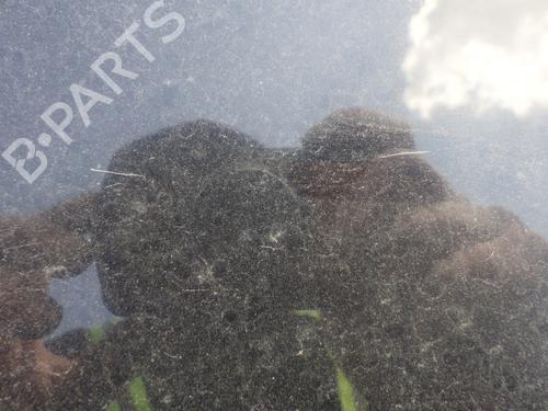 Used Hood Hood VW POLO V (6R1, 6C1) 1.2 (60 hp) 33737570 33737570