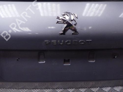 Tailgate PEUGEOT 308 II (LB_, LP_, LW_, LH_, L3_) 1.5 BlueHDi 130 | BP24286829C6