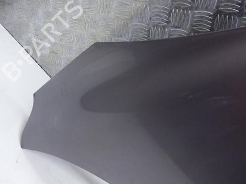 Hood RENAULT GRAND SCÉNIC III (JZ0/1_) 1.5 dCi (JZ09, JZ0D, JZ10, JZ14, JZ1G, JZ29, JZ2C) | BP30466505C1