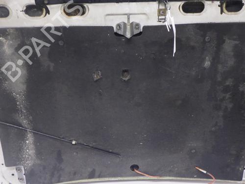 Hood CITROËN C15 Box Body/MPV (VD_) 1.8 D | BP29756603C1 